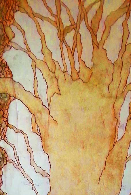 Tree of Life